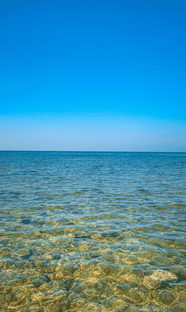 Snipaste_2026-03-31_10-39-52