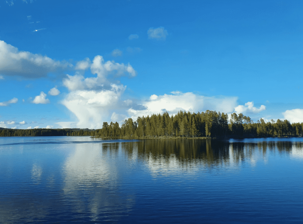 Snipaste_2026-03-31_11-00-34