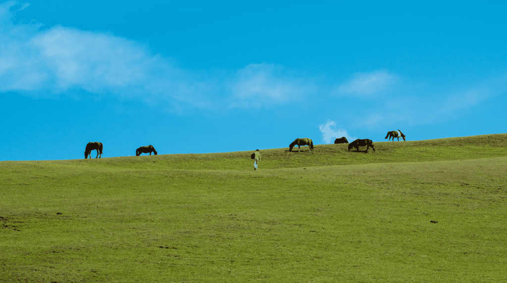 Snipaste_2026-03-31_12-08-10