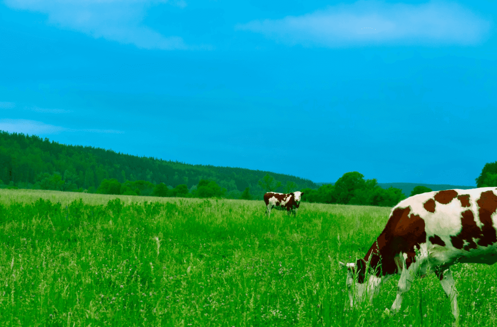 Snipaste_2026-03-31_12-12-49