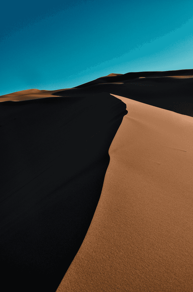 Snipaste_2026-03-31_12-23-59