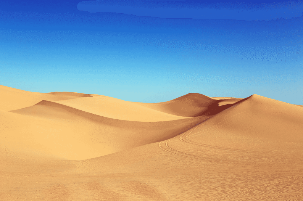 Snipaste_2026-03-31_12-24-32