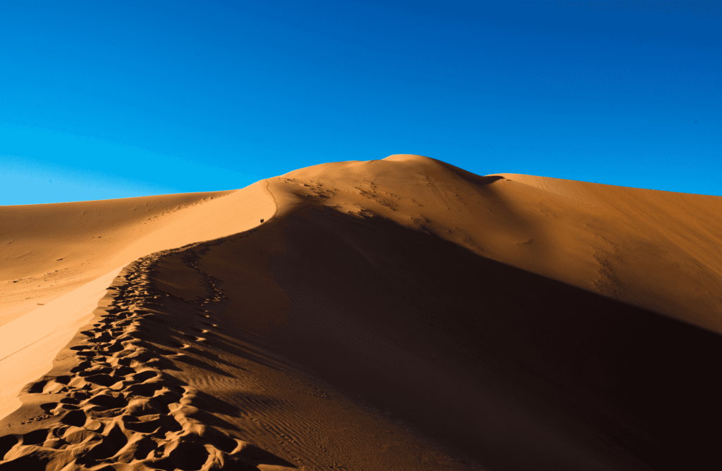 Snipaste_2026-03-31_12-26-48