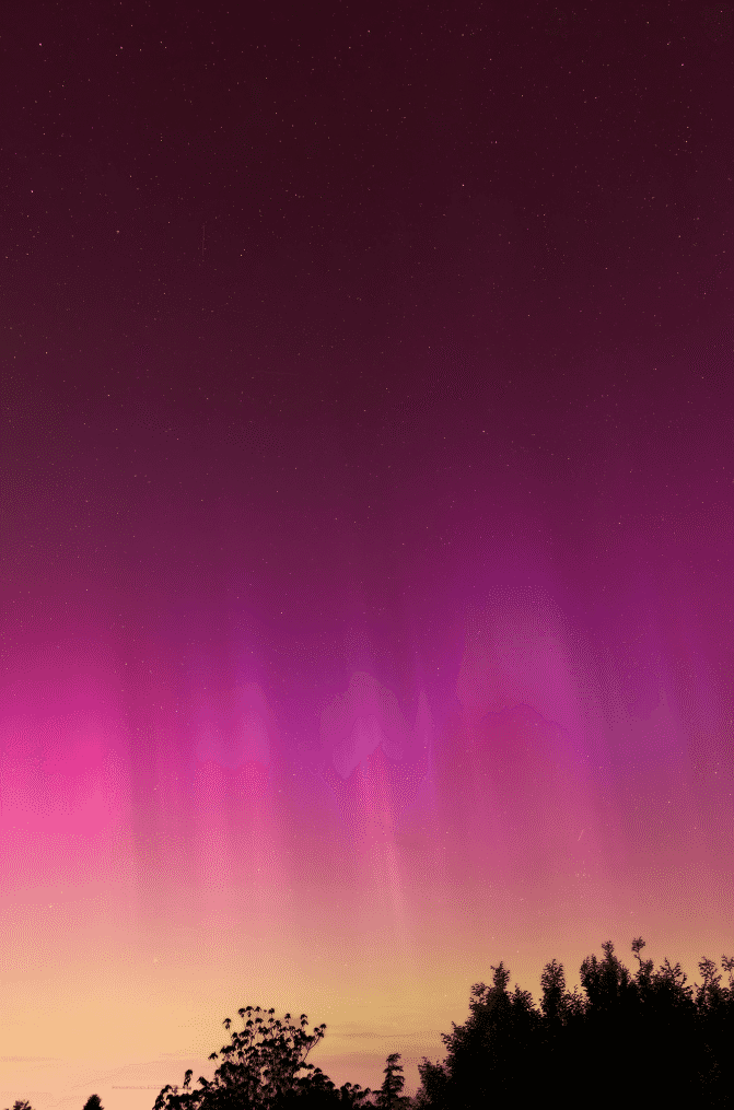 Snipaste_2026-04-02_18-45-06