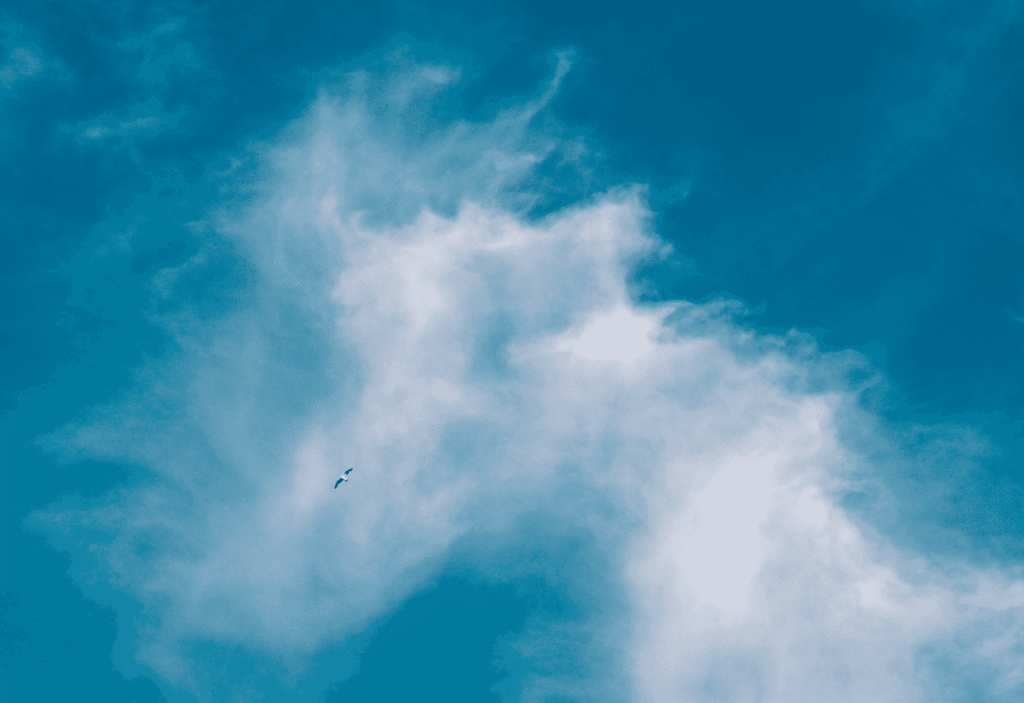 Snipaste_2026-04-02_18-58-34
