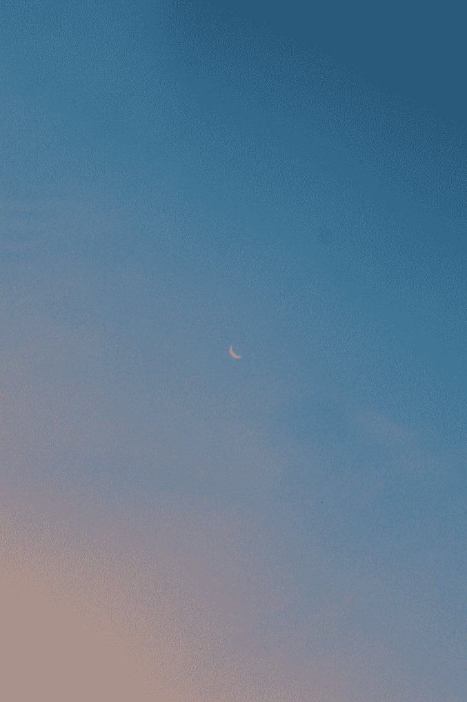Snipaste_2026-04-02_19-51-40