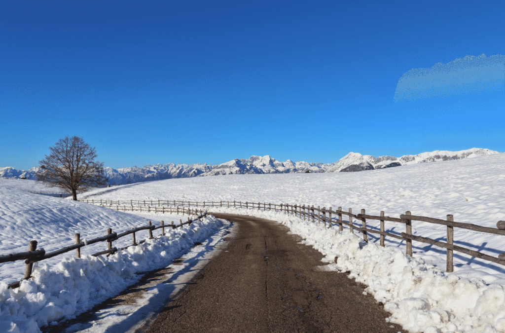 Snipaste_2026-04-02_21-00-24