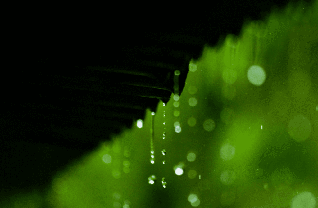 Snipaste_2026-04-02_21-11-13
