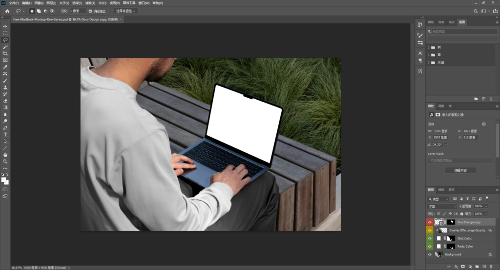 Snipaste_2026-04-07_12-24-26