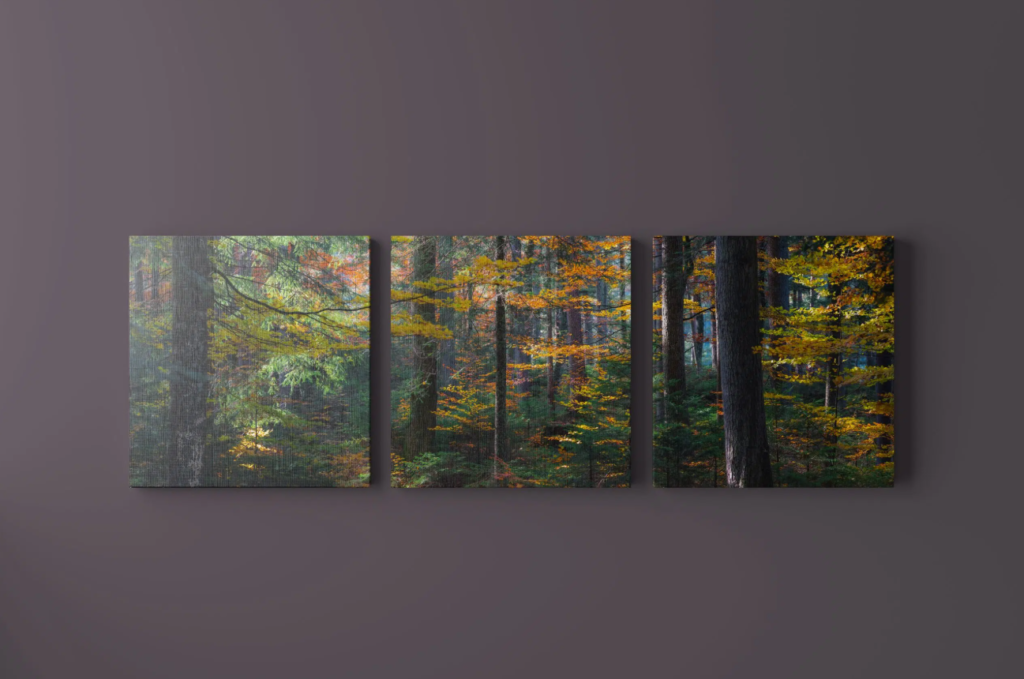 Snipaste_2026-08-13_21-51-36